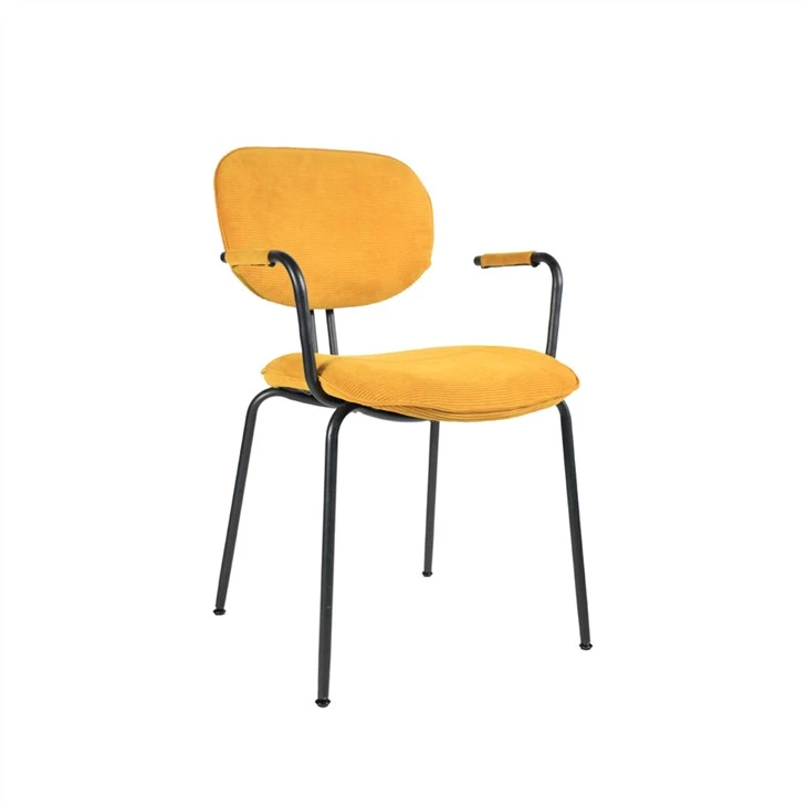 Chaise de loisirs confortable avec accoudoir